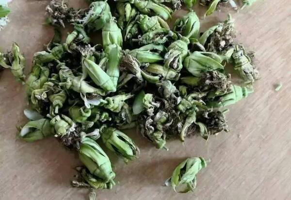 百香果开花坐不了果是什么原因?该怎么处理?