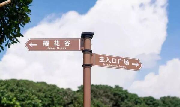 深圳休闲好去处!又一免费公园开放,有610个足