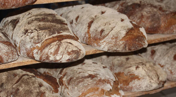 腐乳和臭豆腐到底能不能吃?这些真相很少有人