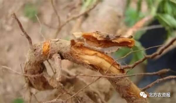 一桩肥料鸣冤案水落石出,这口黑锅该谁背?