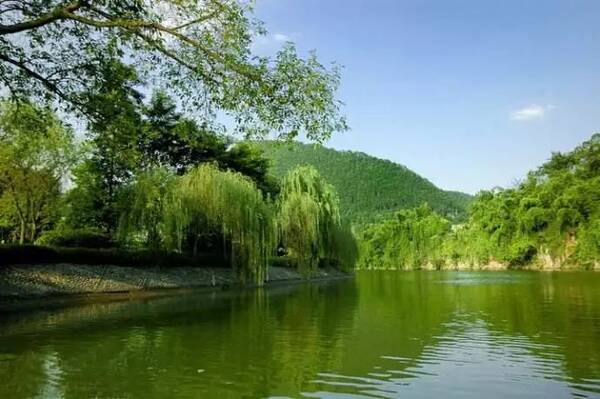 重庆市人大开展河道管理执法检查,聚焦涉河违