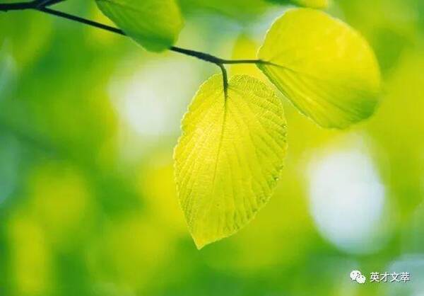 项目开发计划书怎么写-一个养老项目策划书的