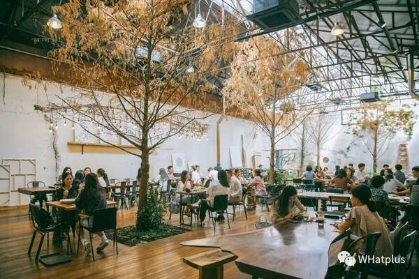 7天6夜体验小众韩国 ,像当地人一样别处生活