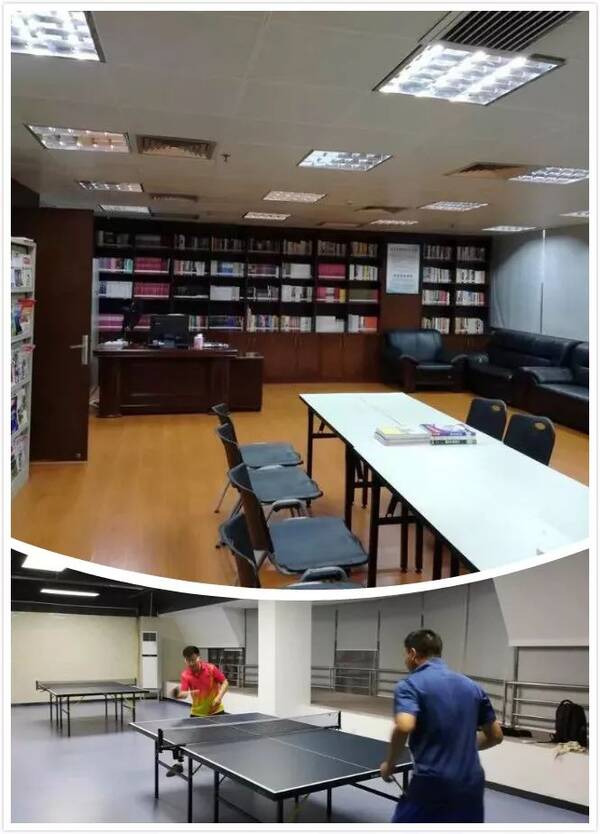 环境清雅,读书画画练瑜伽!南山这些地方的文体