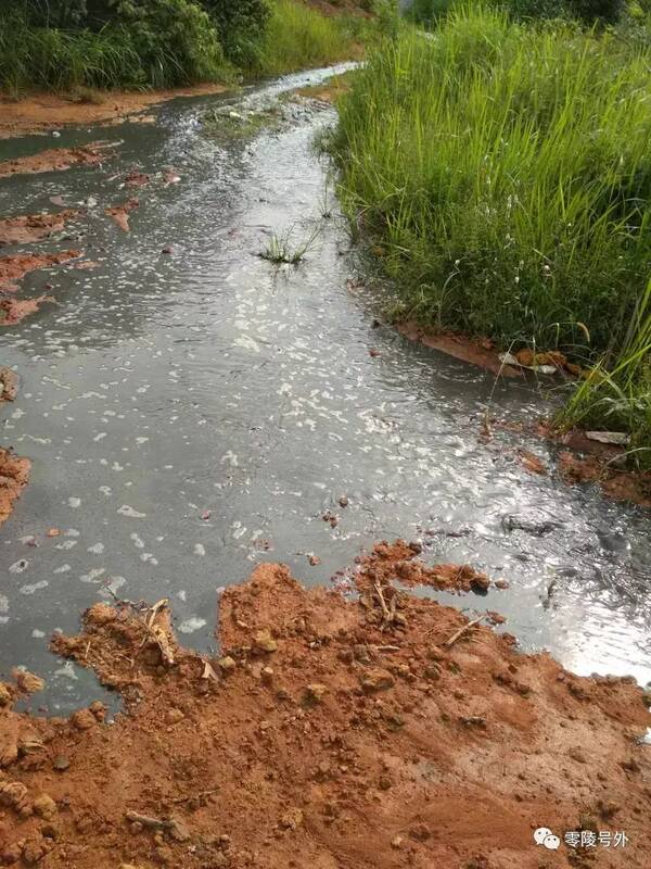 零陵某地村民实名举报养猪场污染水源,请求上