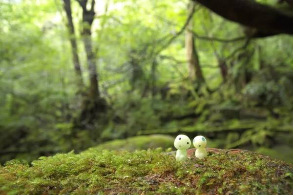 黄渤《一出好戏》被爆抄袭?但它带红了日本最
