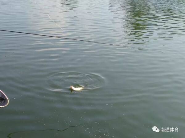 2018中华垂钓大赛江苏海安选拔赛成功举办