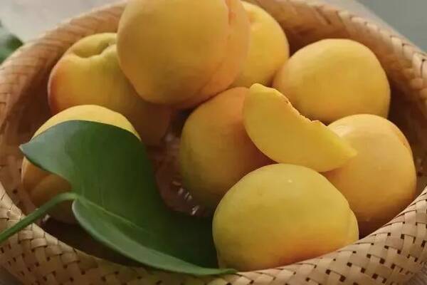 【日销10000单】产自蜜桃之都蒙阴,10瓶黄桃