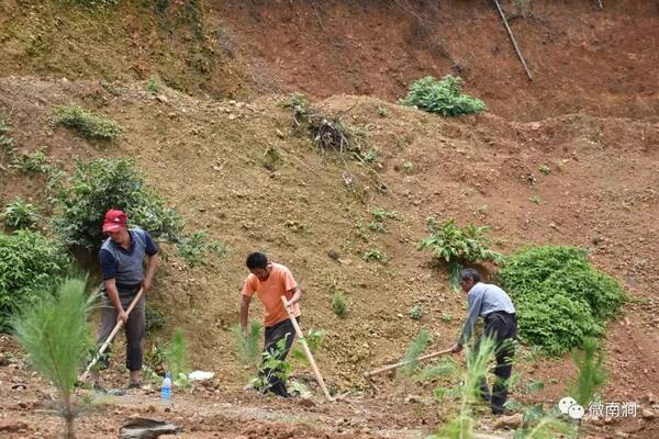 卫星遥感影像图片对比、精确查找疑似斑点地图