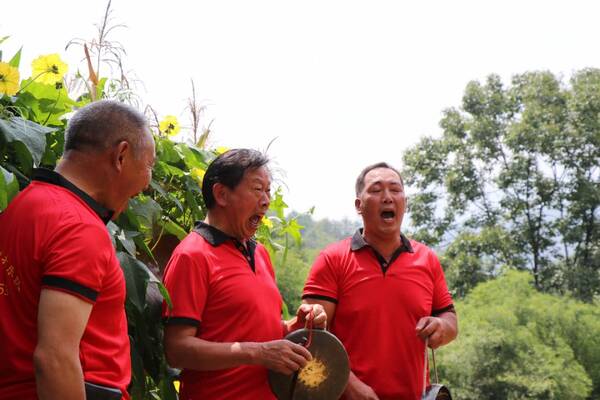 而在长阳桃山 一个名叫潘小兰的土家媳妇 源于对长阳撒叶荷儿的痴迷图片