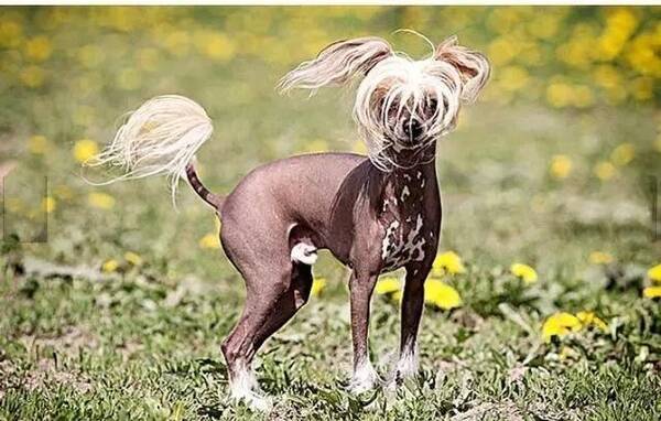 开心一刻:昨晚跟男友去公园活动,结果没注意时