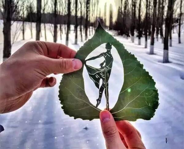 生命脆弱人生无常