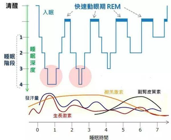 睡好觉运动快睡好觉也增肌?瘦身无氧减肥图片