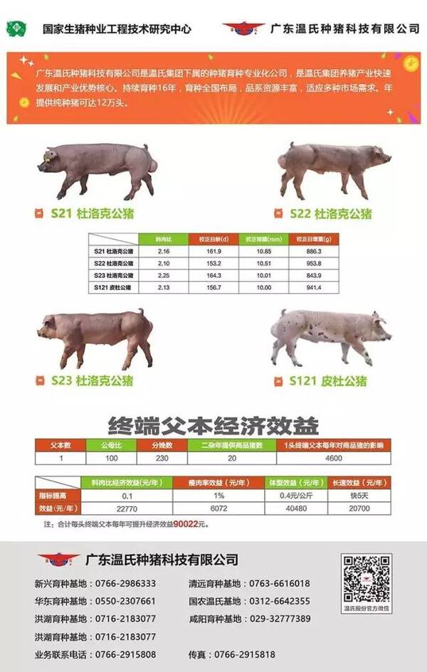 连云港非洲猪瘟疫区1.4万余头猪全部扑杀,受威