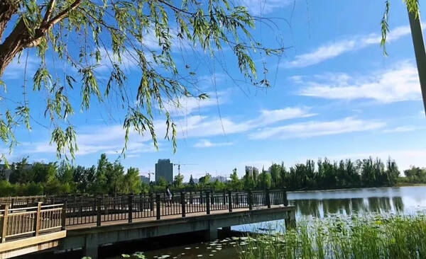 【通辽早点】2018年8月22日 星期三