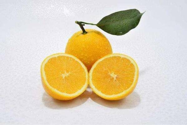脐橙种植: 脐橙的留树保鲜技术, 大大提高销售价