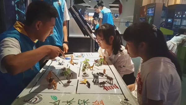 中学生志愿服务项目:一场未成年人群志愿服务