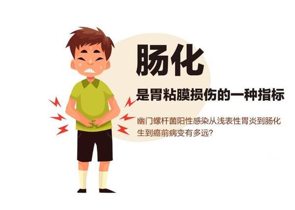 幽门螺杆菌阳性不用慌,谨记及时的补充对抗益