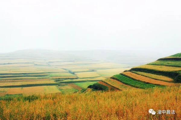 社论:奋力开启一优两高新征程书写新时代新青