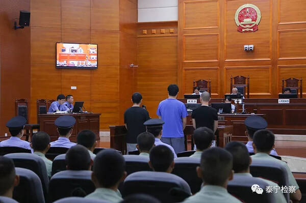 扫黑除恶|泰宁检察再出发