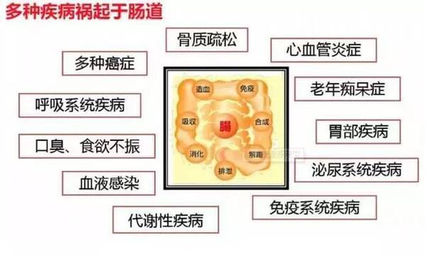 畅清舒肠道水疗