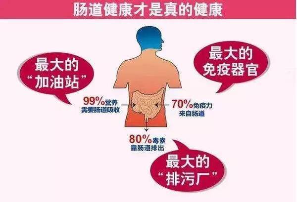 肠道水疗养生