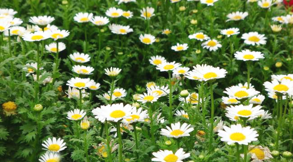 家中常备,快速止痒小妙招,摆脱湿疹其实不难