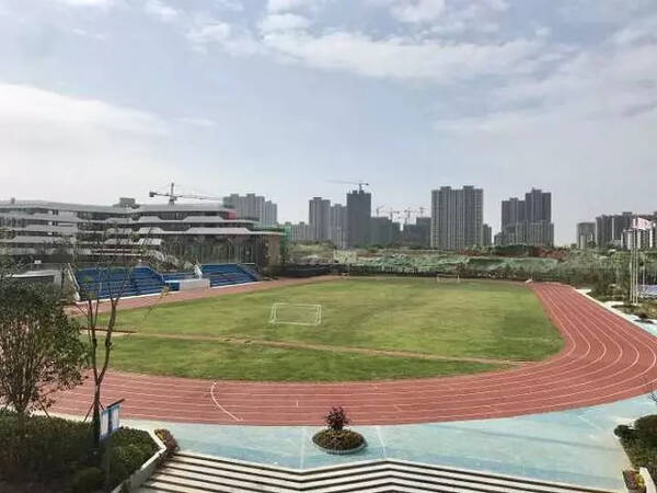科教|黄陂盘龙城容纳两所公立学校,可新增初中选择题议论文中小图片