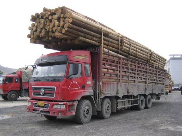 9月1日起,货车超载企业将被吊销证件以及2万元