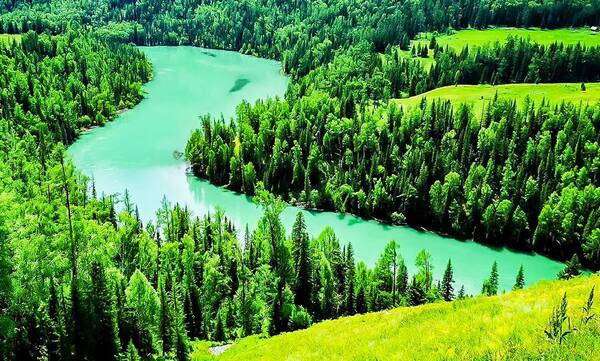 【中国公民国外自驾违法?】捷克发布官方声明