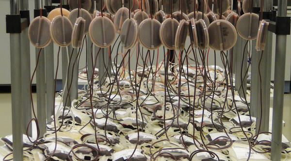 90%的人不知道--近亲之间不能输血!