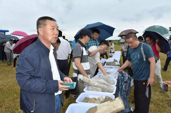 【科区早新闻】2018年8月30日 七月二十 星期