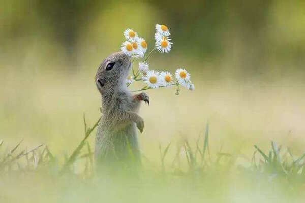 年龄越大越有味道的星座,白羊男摩羯女榜上有
