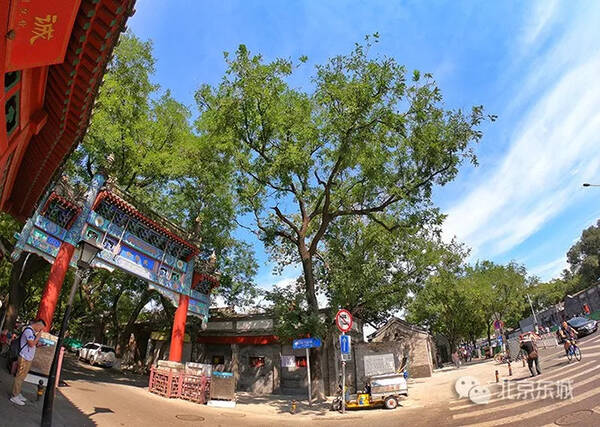 慢街素院,儒风禅韵~雍和宫大街变变变!