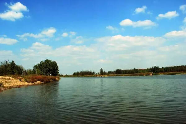 【年轻干部在一线】重坊镇重北社区党总支书记