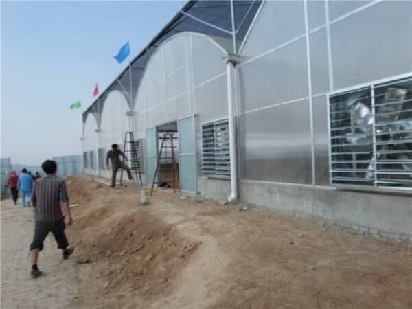 大棚房专项整治行动启动,3类大棚房面临严整