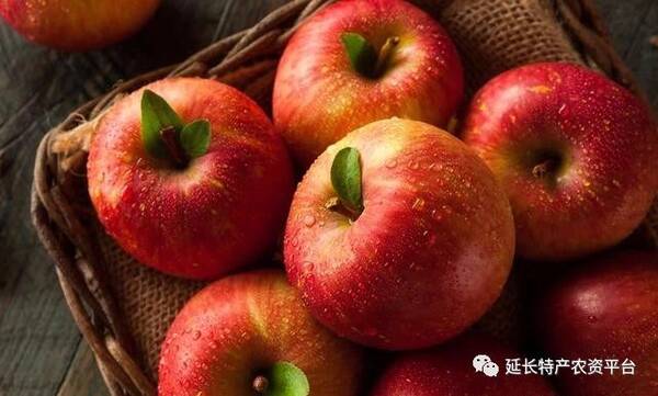 2018年苹果行情趋势以及产业链动态