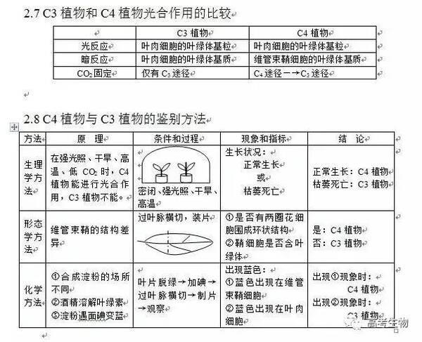 高中顺序总结学?知识点到底:一抓高中,二抓联系万全平阳县招聘生物图片