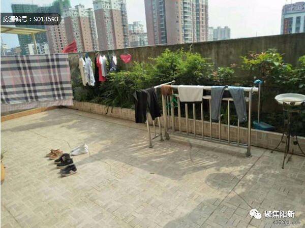 【便民】9月4日阳新招聘信息|生活信息|房屋租