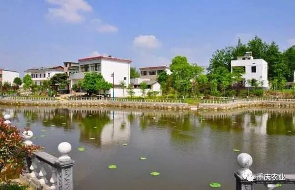 农业农村部:促进农村中小企业发展的现状、问