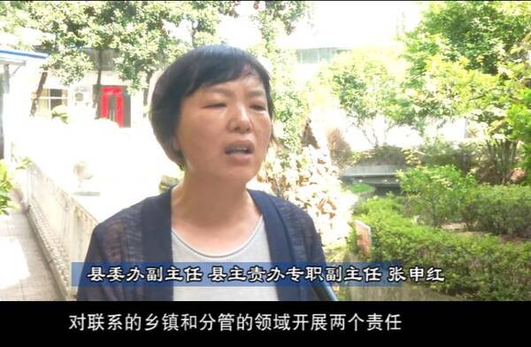 黄梅】要留清气满黄梅-- 推动黄梅高质量发展新