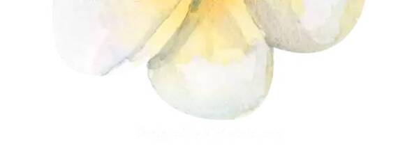 【归侨故事】何姣娥:甘为绿叶扶红花的侨眷贴