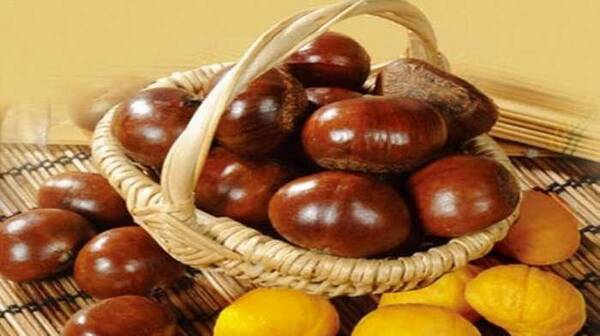 常吃坚果有什么好处? 什么人不能吃? 今天一一