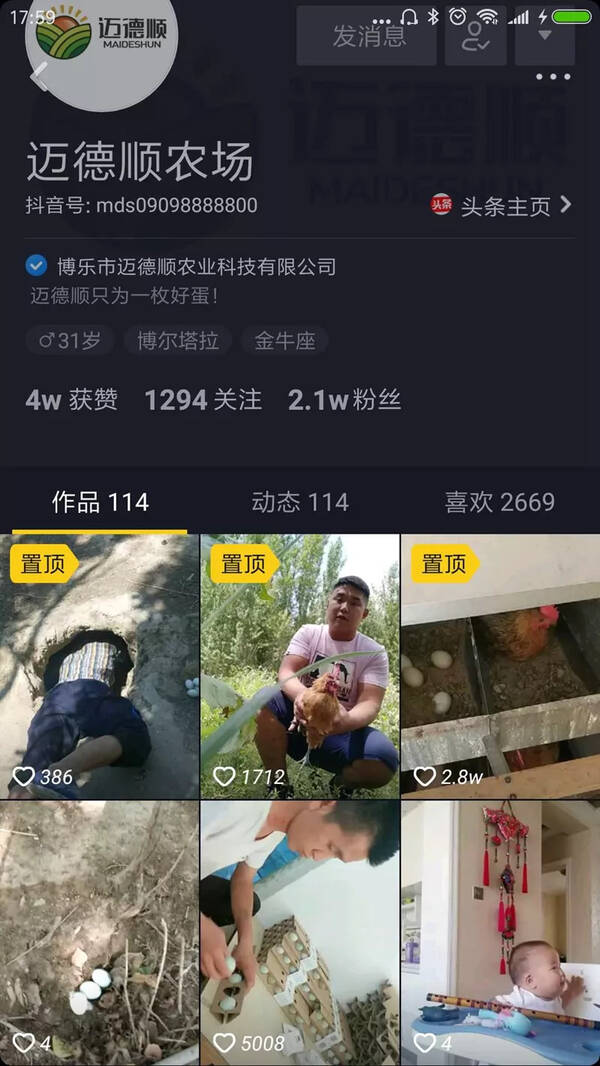 抖音粉丝2万 !博乐市这个小伙,养鸡也能