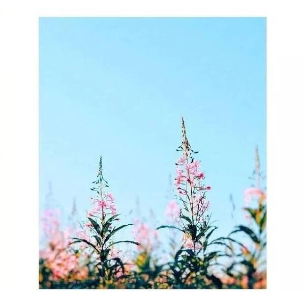 就这个社会,没有学历我好像失去了所有