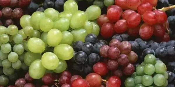 高中生吃这6样食物4种水果最抗疲劳,附预防疲