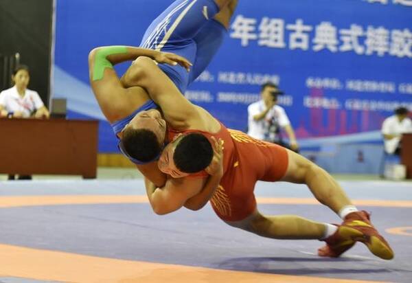 成绩可喜,短板要补--第15届河北省运会盘点