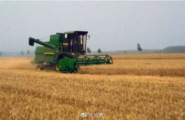算一笔账:种植一亩地小麦,除去成本,利润能有多