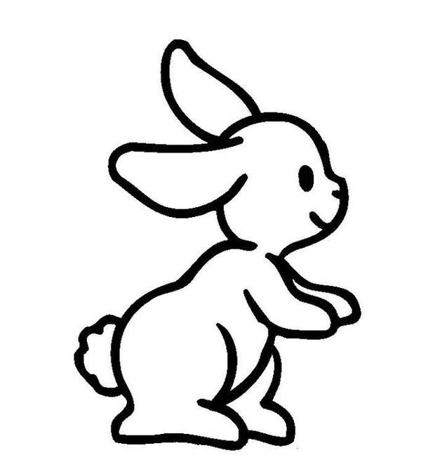 小了白了兔，白了又了白，网红歌谣小白兔简笔画，带给大家