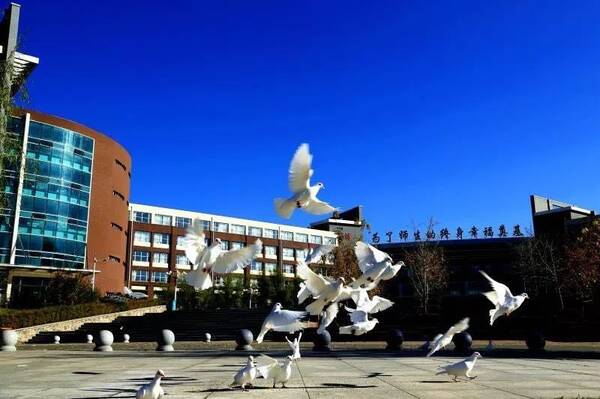 年薪最高40万!长春市净月实验中学招初中教师